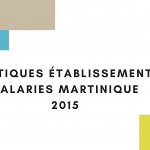 Aract-It Martinique STATISTIQUES ETABLISSEMENTS ET SALARIES MARTINIQUE 2015