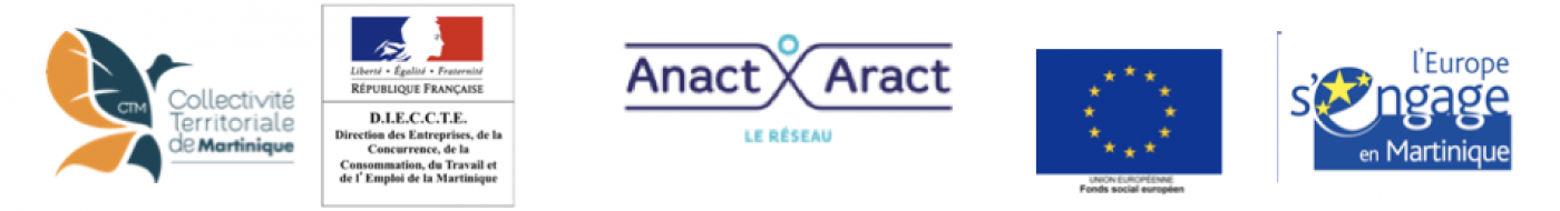 Aract-Itt Martinique - logos financeurs