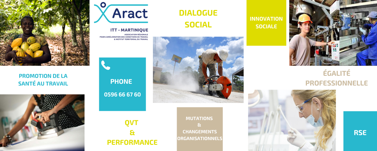 Promo accueil - Aract-itt Martinique