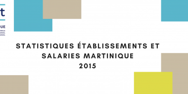Aract-It Martinique STATISTIQUES ETABLISSEMENTS ET SALARIES MARTINIQUE 2015